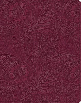 ESV Single Column Journaling Bible 1