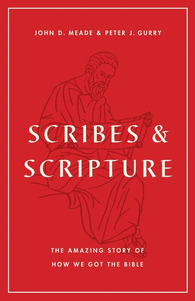 bokomslag Scribes and Scripture