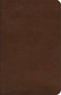 bokomslag ESV Concise Study Bible?