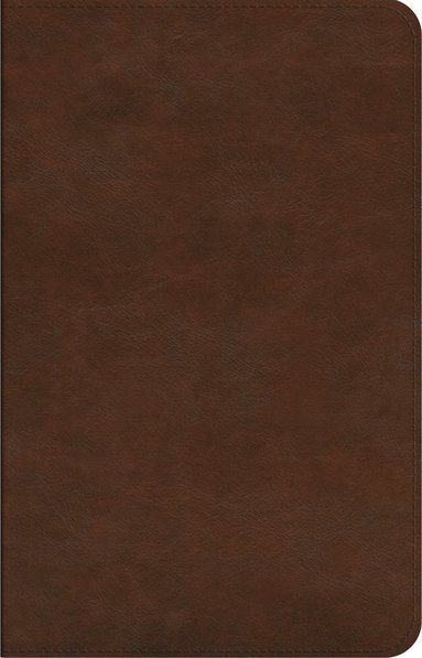 bokomslag ESV Concise Study Bible?