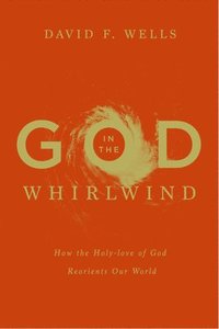 bokomslag God in the Whirlwind: How the Holy-love of God Reorients Our World