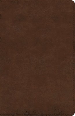 ESV Spanish/English Parallel Bible