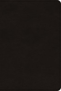 bokomslag ESV Church History Study Bible