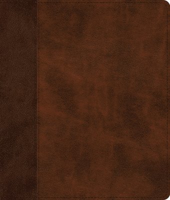 ESV Journaling Bible 1