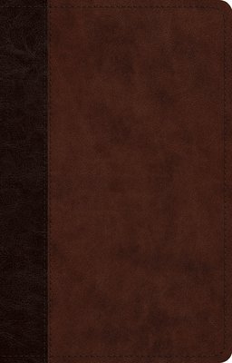 bokomslag ESV Large Print Thinline Reference Bible