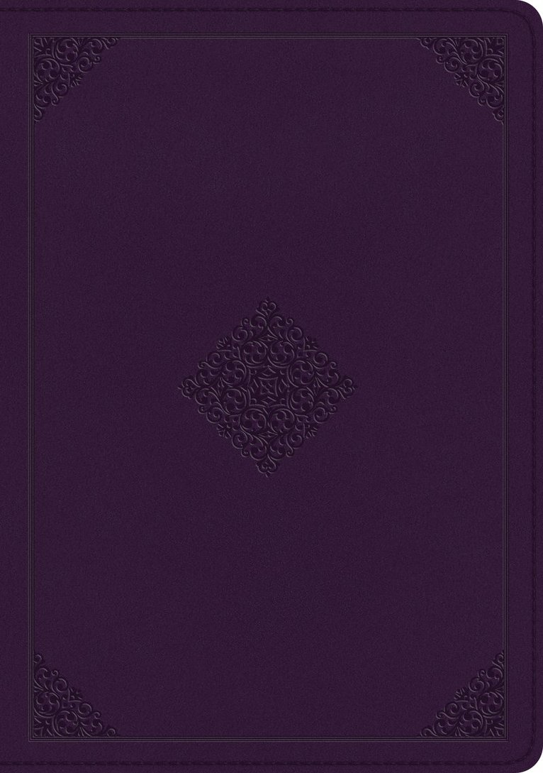 ESV Single Column Journaling Bible, Large Print, Inbunden