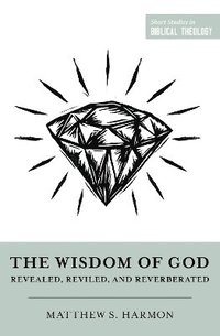 bokomslag Wisdom of God
