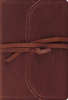 ESV Student Study Bible 1