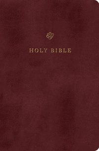 bokomslag ESV Gift and Award Bible