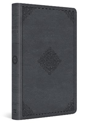 bokomslag ESV Large Print Thinline Bible