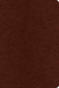 bokomslag ESV Systematic Theology Study Bible