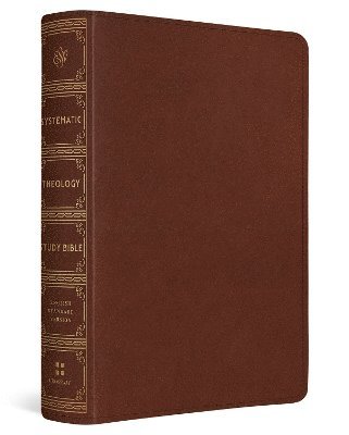 bokomslag ESV Systematic Theology Study Bible