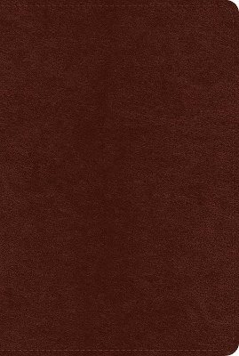 ESV Systematic Theology Study Bible 1