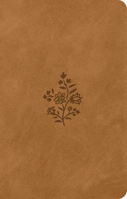 ESV Premium Gift Bible 1