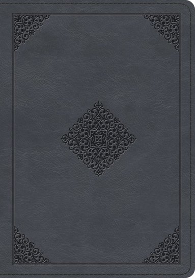 bokomslag ESV Large Print Wide Margin Bible