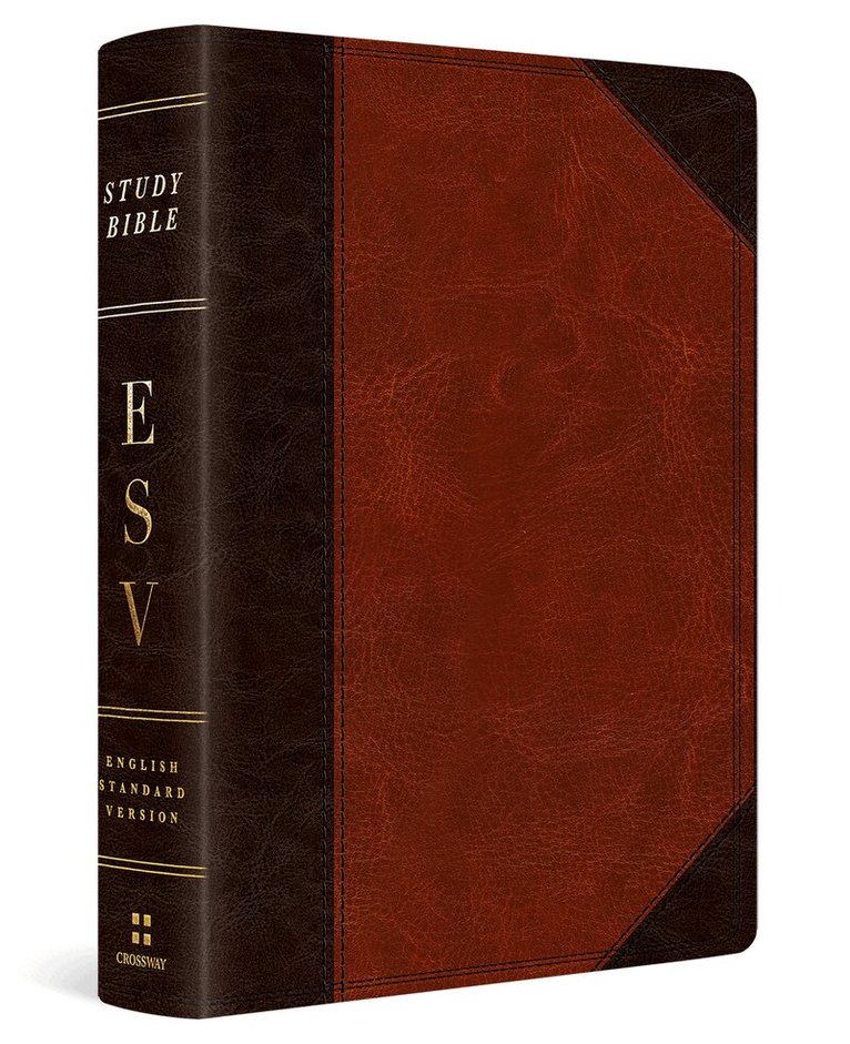 ESV Study Bible, Personal Size, Inbunden
