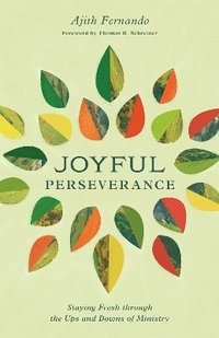 bokomslag Joyful Perseverance