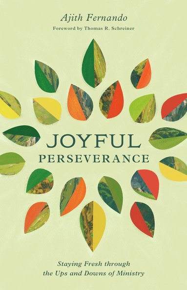 bokomslag Joyful Perseverance