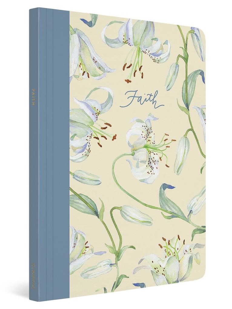 Erika Allen - ESV Prayer Journal, Häftad