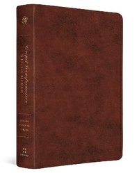 bokomslag ESV Gospel Transformation Study Bible