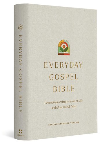 bokomslag ESV Everyday Gospel Bible