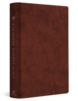 bokomslag ESV Everyday Gospel Bible