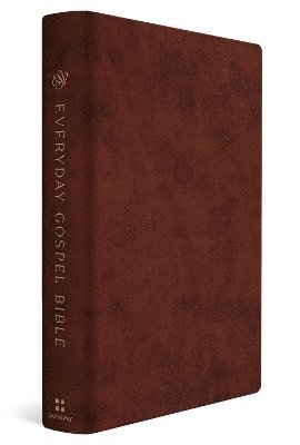 ESV Everyday Gospel Bible 1