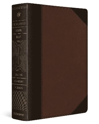 bokomslag ESV Archaeology Study Bible
