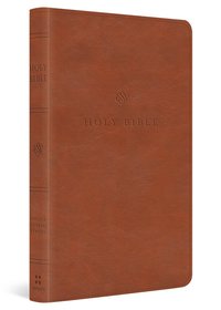 bokomslag ESV Value Thinline Bible