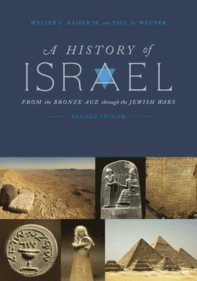 Walter C. Kaiser, Jr., Paul D Wegner - History of Israel, Häftad