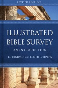 bokomslag Illustrated Bible Survey