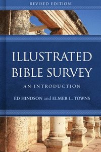 bokomslag Illustrated Bible Survey