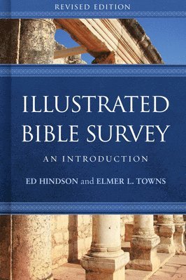 bokomslag Illustrated Bible Survey