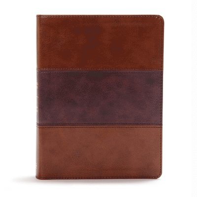 CSB Apologetics Study Bible, Mahogany LeatherTouch