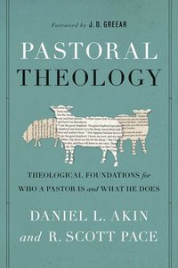 bokomslag Pastoral Theology