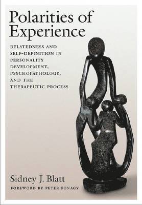 bokomslag Polarities of Experience