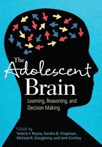 bokomslag Adolescent Brain, The