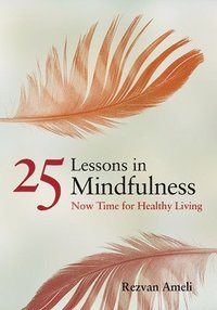bokomslag 25 Lessons in Mindfulness