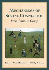 bokomslag Mechanisms of Social Connection