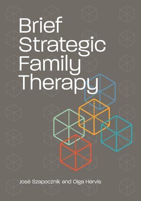 bokomslag Brief Strategic Family Therapy