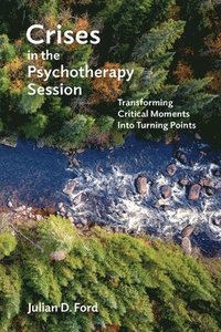 bokomslag Crises in the Psychotherapy Session