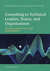 bokomslag Consulting to Technical Leaders, Teams, and Organizations