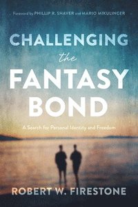 bokomslag Challenging the Fantasy Bond