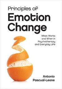 bokomslag Principles of Emotion Change