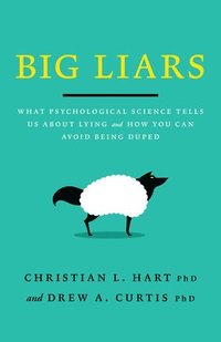 bokomslag Big Liars