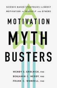 bokomslag Motivation Myth Busters