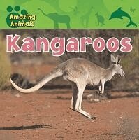Christina Wilsdon - Kangaroos, Häftad