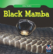 bokomslag Black Mamba