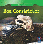 bokomslag Boa Constrictor