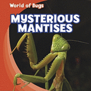 bokomslag Mysterious Mantises